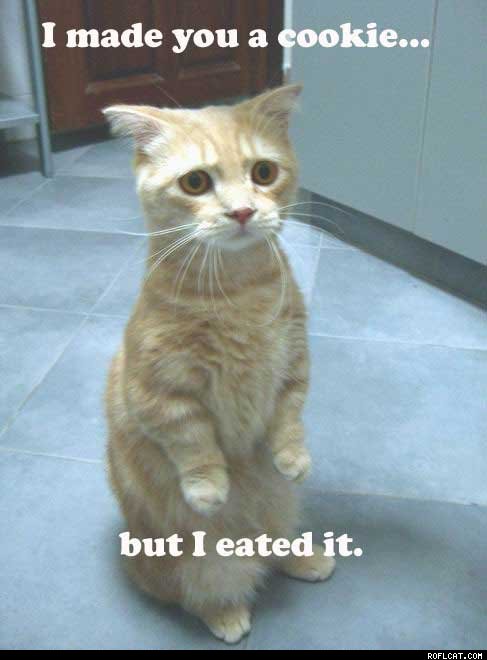 happens a lot