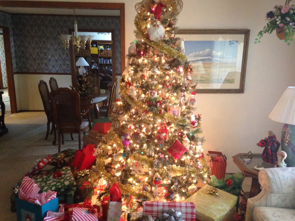 December: There were too many pictures to choose from because I wanted to include Mom, Dad, Lauren and friends, Mexican food and skiing, so I'll summarize with the epitome of being home for Christmas. I came full circle. (Thanks, Mom and Dad)