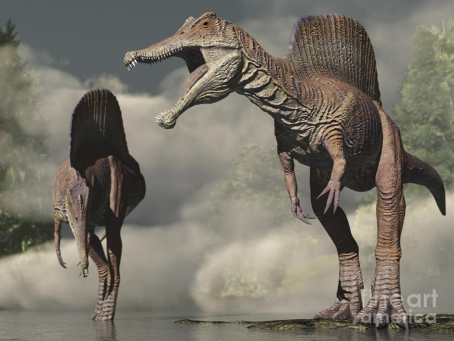 Me after eight hours of walking.