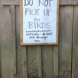 Germany: Here to Help You