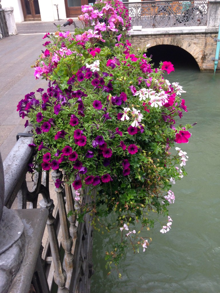 I love that there are flowers everywhere in Italy, on windowsills and bridges and balconies