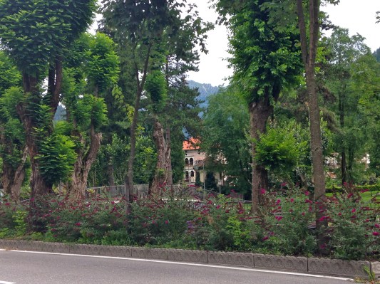 It was a run by photo-taking, but this was a luscious green park blossoming with flowers
