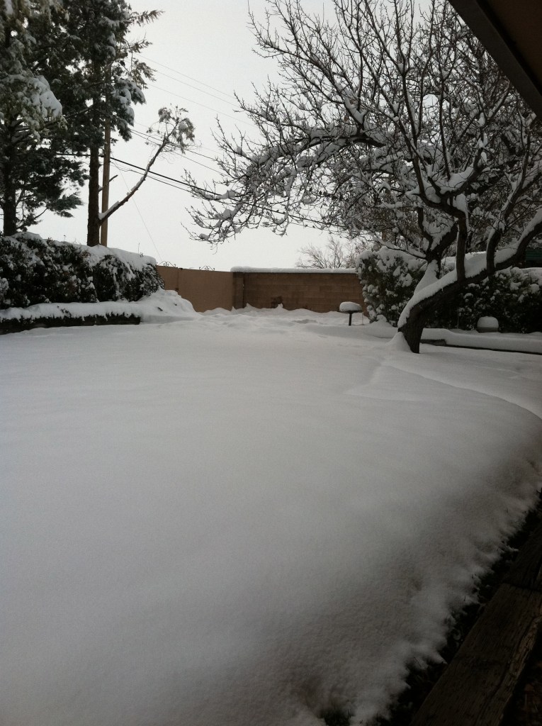 More than a light dusting