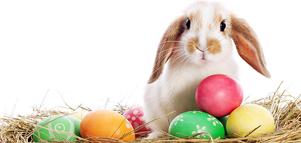 cute-happy-easter-photos