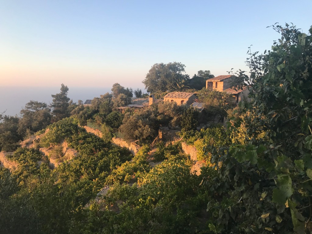 1E7D0D3C-C149-4968-B1FE-9EE3B4D43AD0