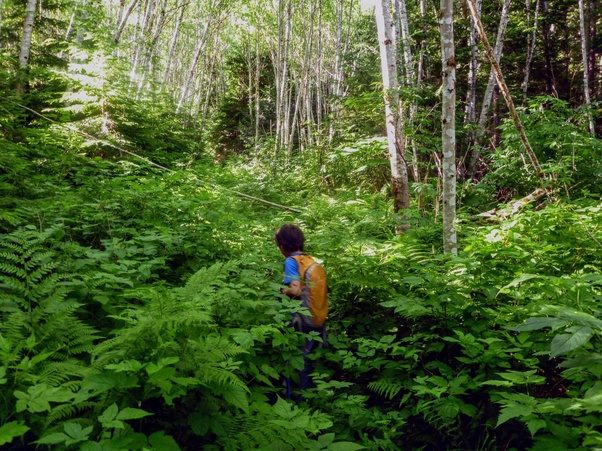 main-qimg-b37cc785cf782304618b935e01b68feb